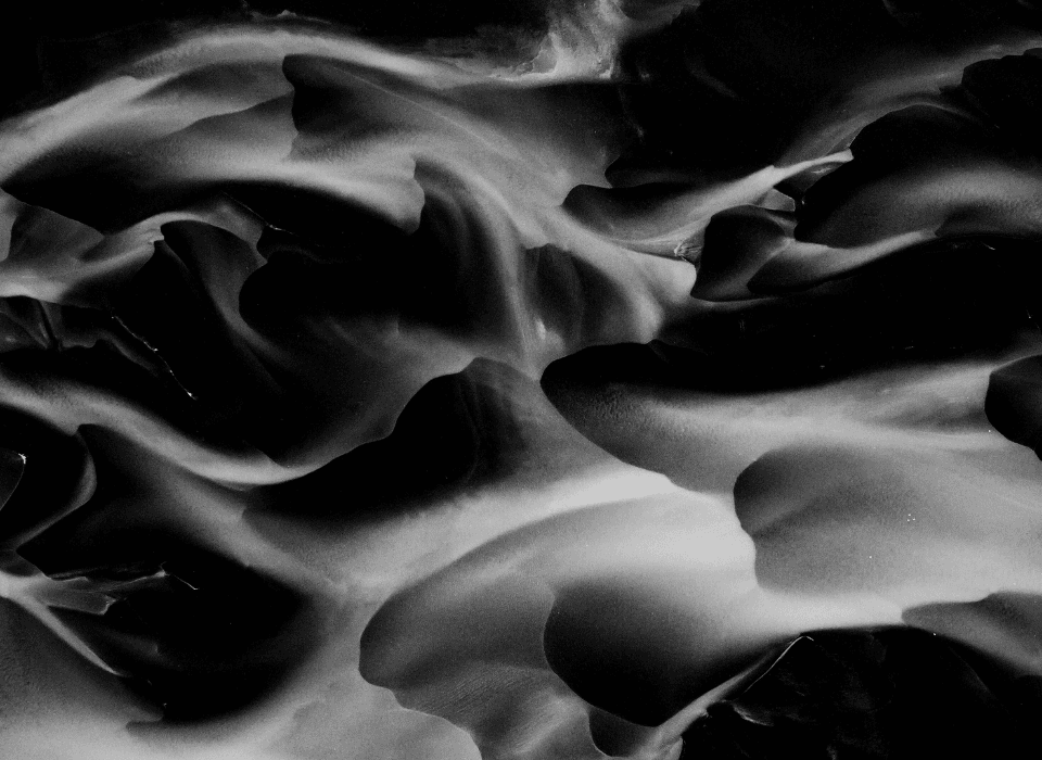 Banner Content Background