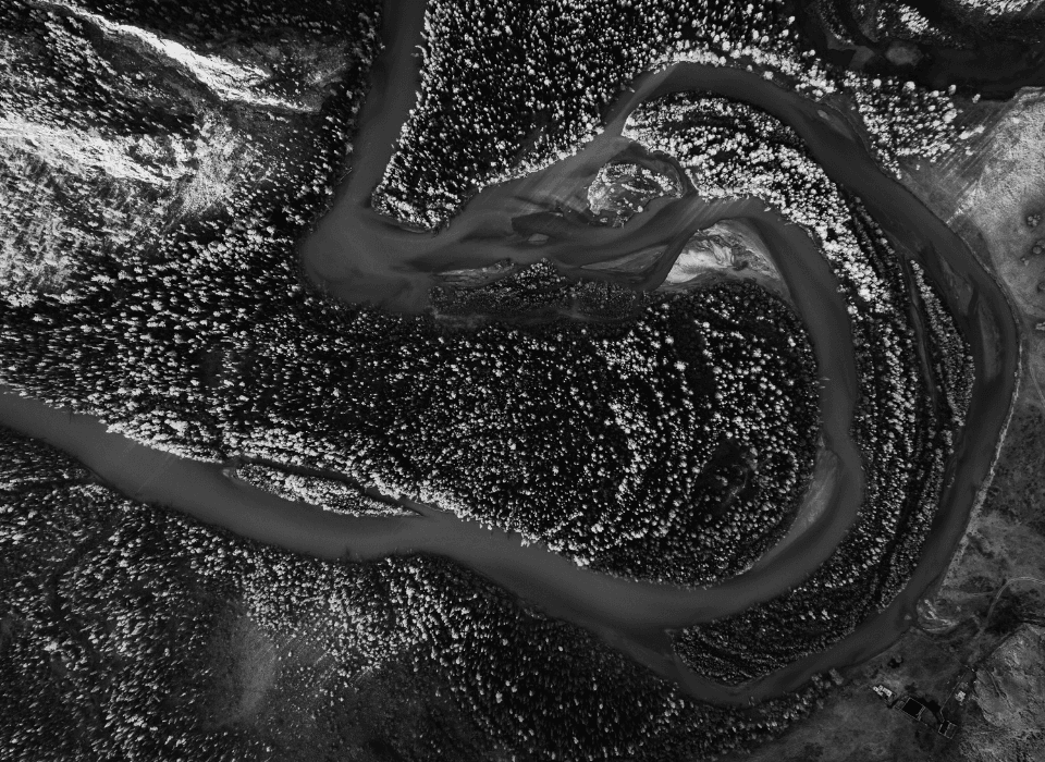 Banner Content Background