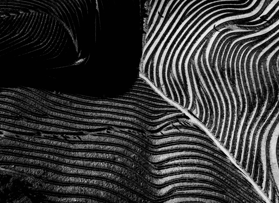 Banner Content Background